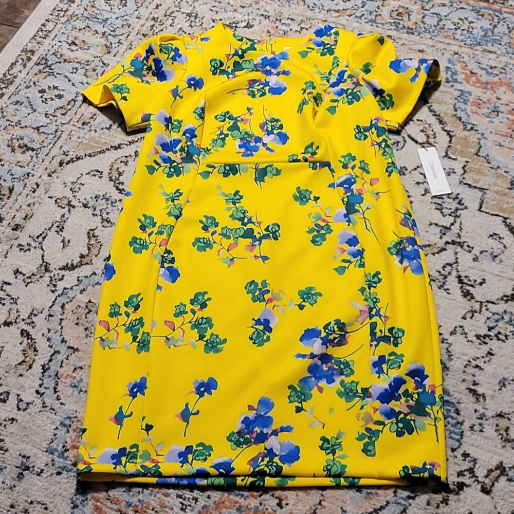 Calvin Klein Dress